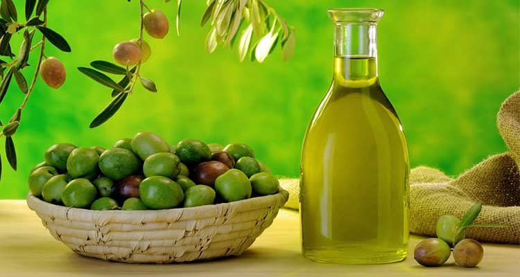 olive-oil-extraction-1