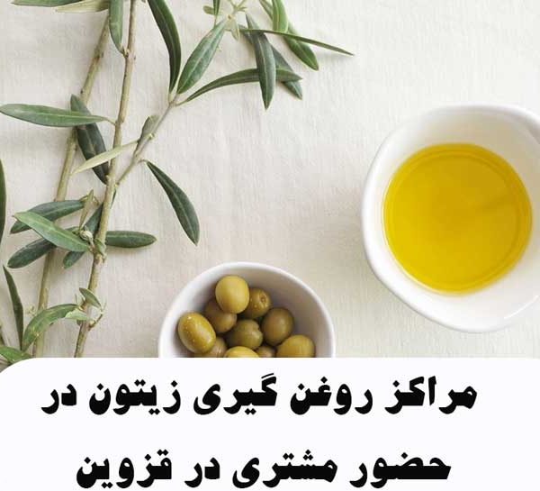 مراکز روغن گیری زیتون در حضور مشتری در قزوین