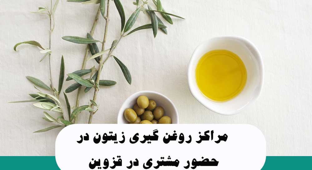 مراکز روغن گیری زیتون در حضور مشتری در قزوین