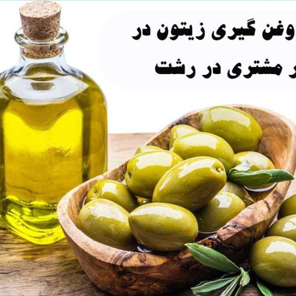 لیست مراکز روغن گیری زیتون در حضور مشتری در رشت