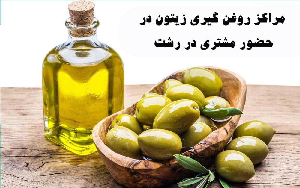 لیست مراکز روغن گیری زیتون در حضور مشتری در رشت