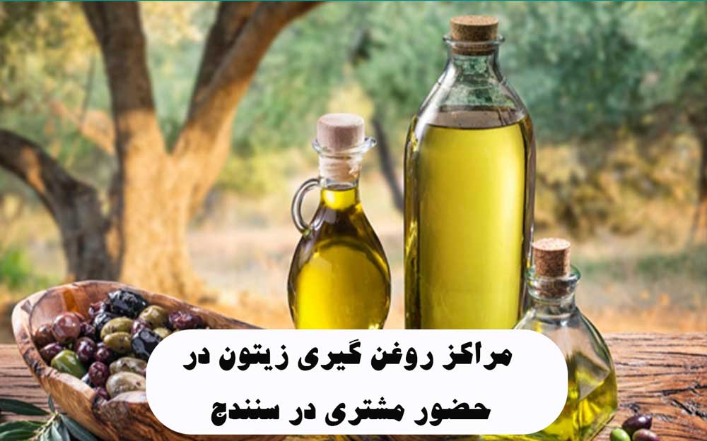 مراکز روغن گیری زیتون در حضور مشتری در سنندج