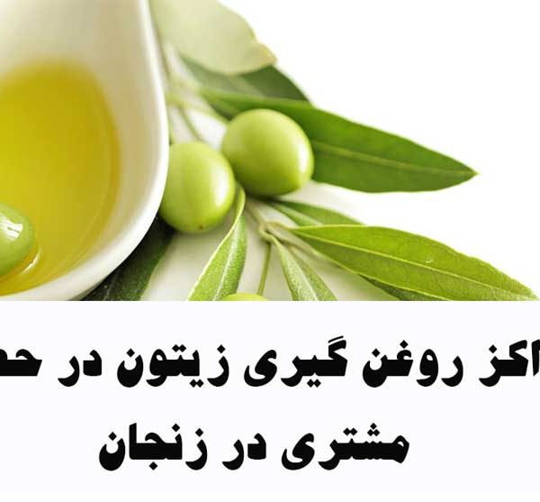 مراکز روغن گیری زیتون در حضور مشتری در زنجان